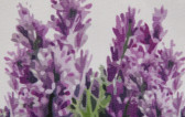 Прямоугольная скатерть, рисунок, 2200х1400 мм, Maison Christelle, Lavender