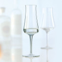 Набор фужеров для шампанского, 0.235 л, 72 мм, 6 пр, прозрачный, Schott Zwiesel, Fine