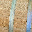 Бочка винная на подставке (оцинкованная сталь), 50 л, 425x425x570 мм, БонПос